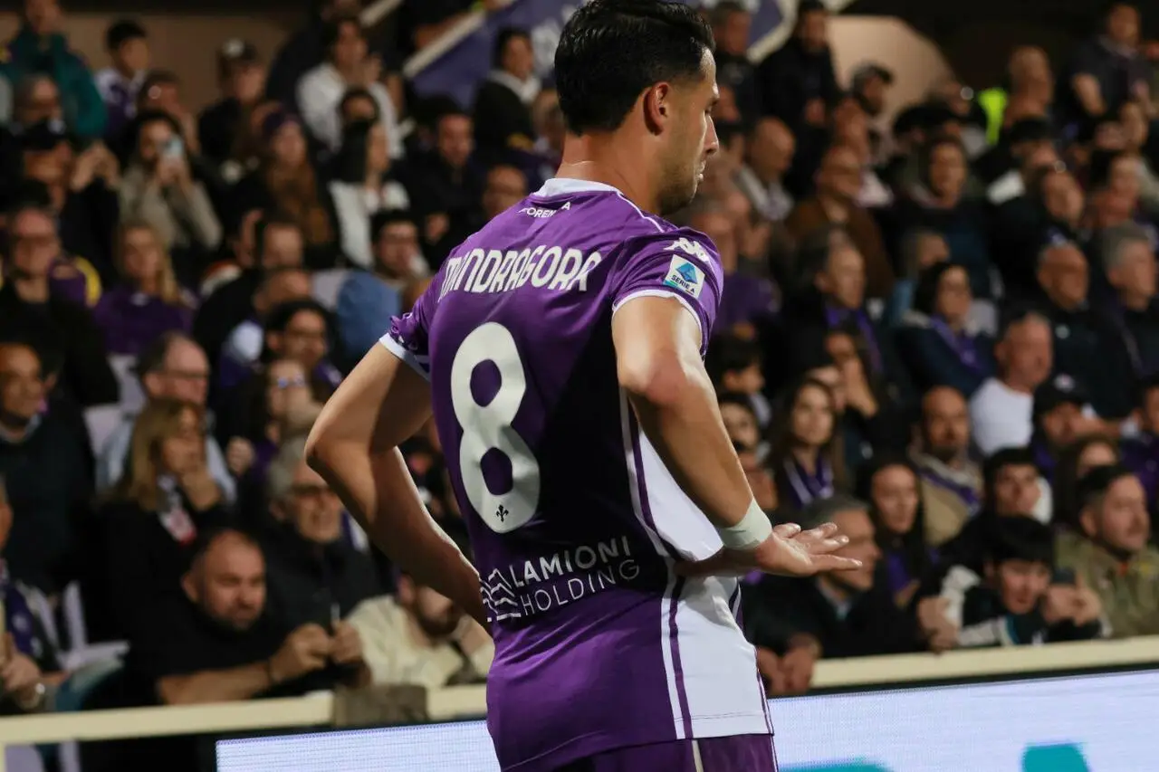 Mandragora Fiorentina