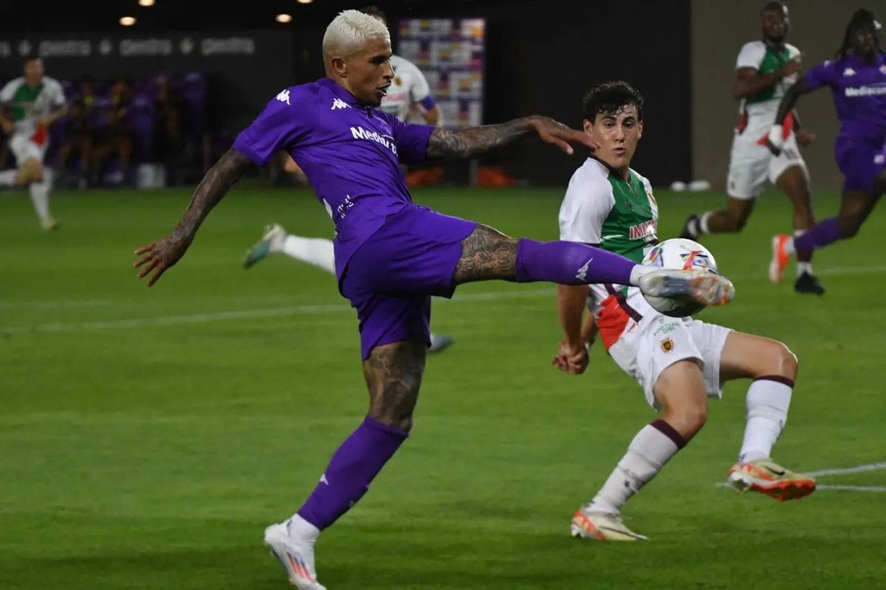 Dodo Fiorentina