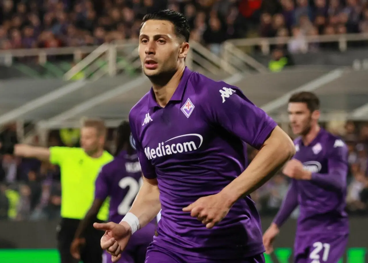 Mandragora Fiorentina