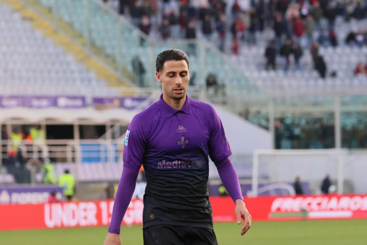 Mandragora Fiorentina
