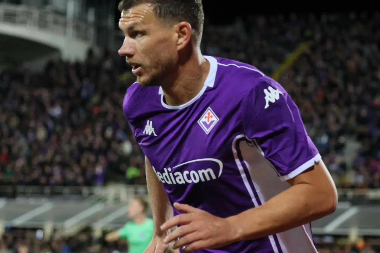 Edin Dzeko