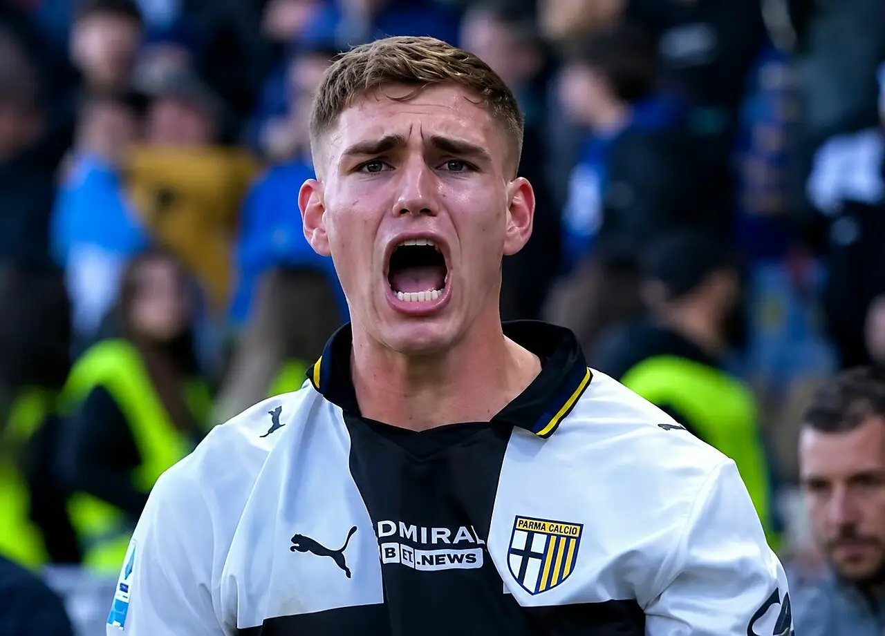 Mateo Pellegrino