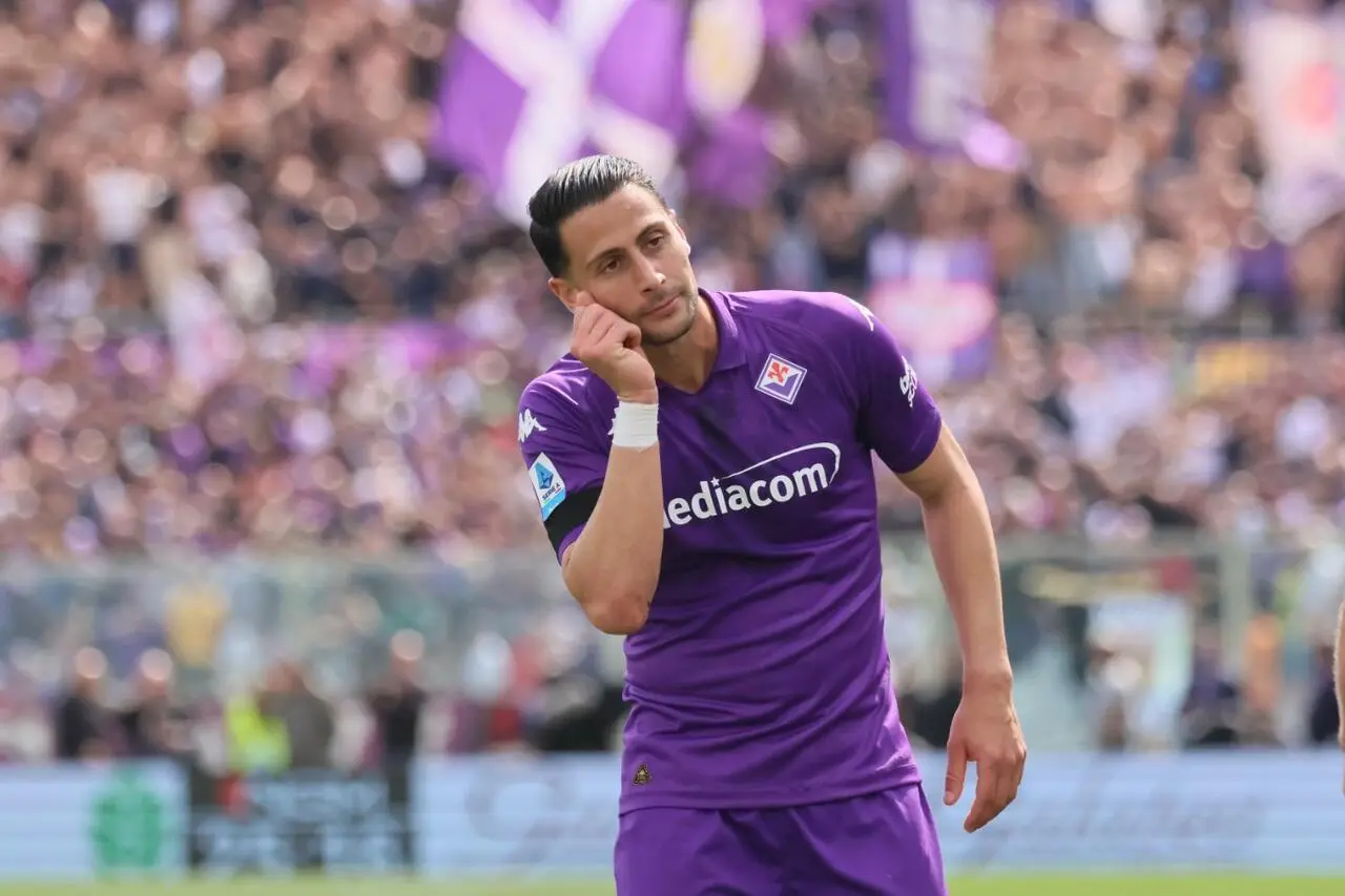 Mandragora Fiorentina