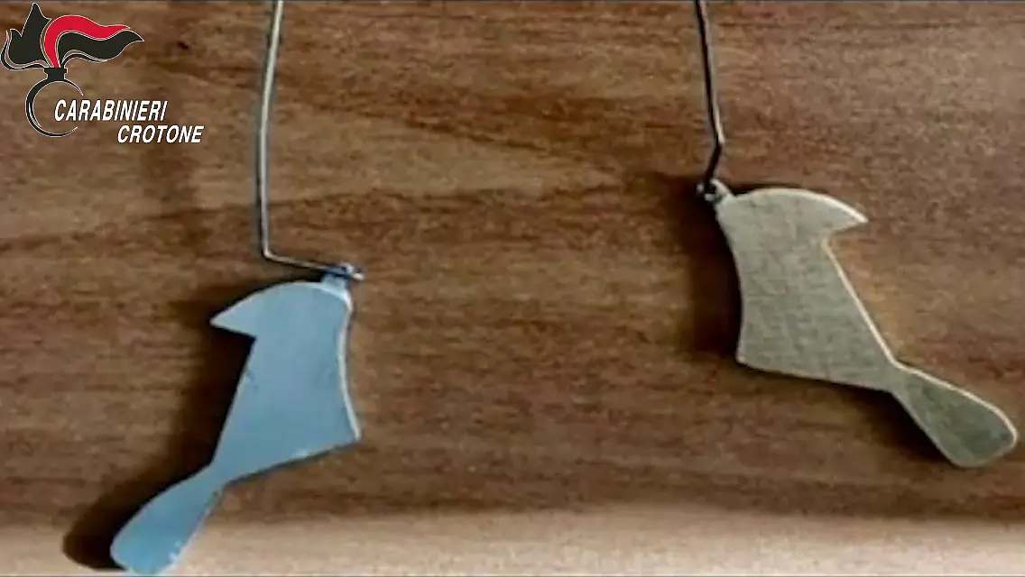 Il "Pesciolino", arnese metallico che consente di giocare e vincere senza dover inserire monete