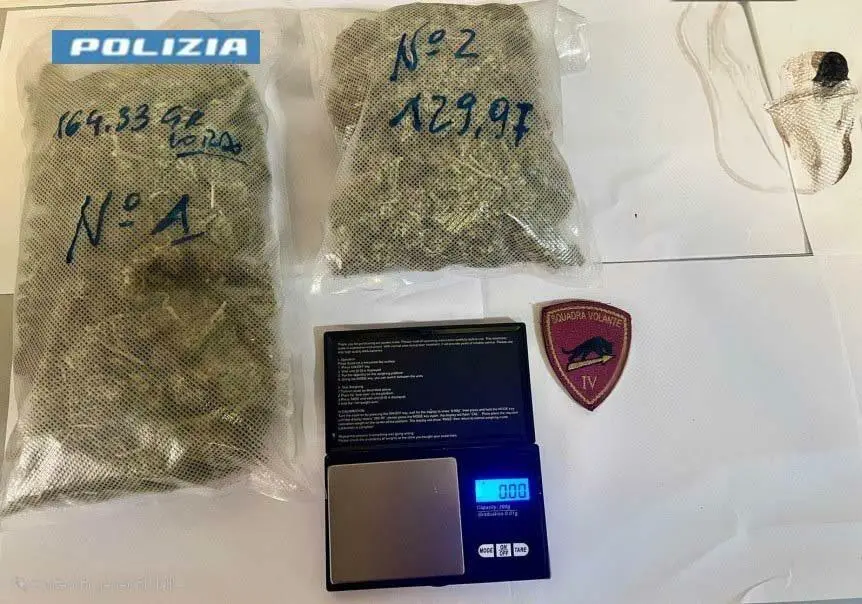 La marijuana sequestrata