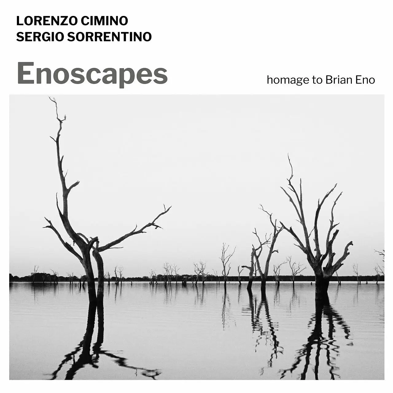 Enoscapes