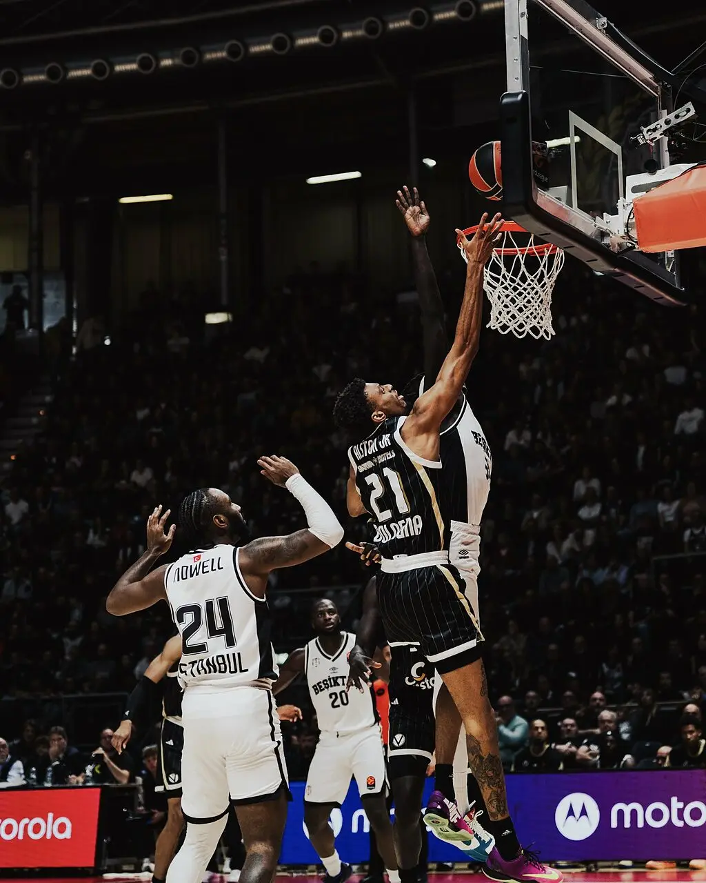 (foto Virtus Bologna)