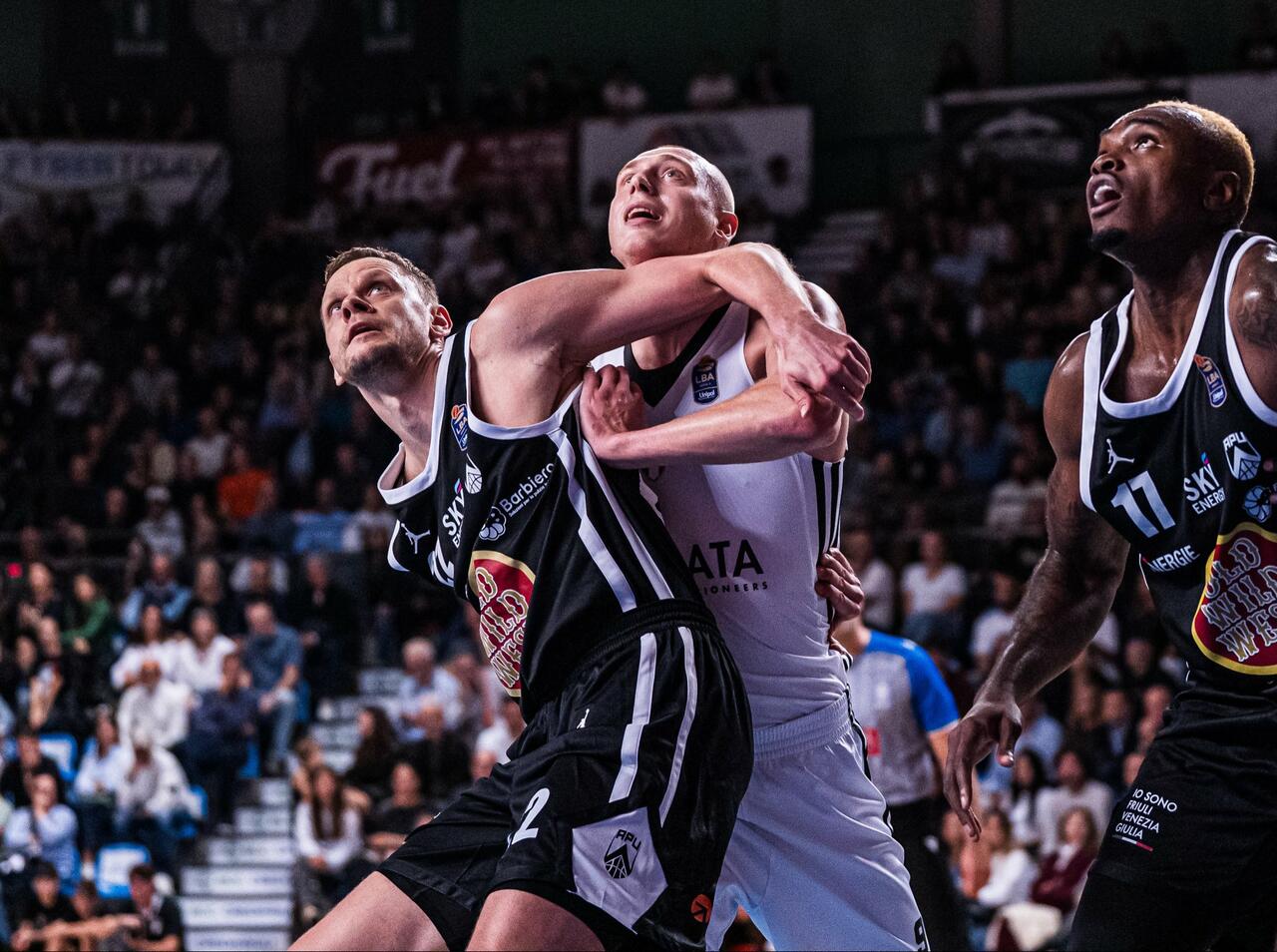 (foto Virtus Bologna)