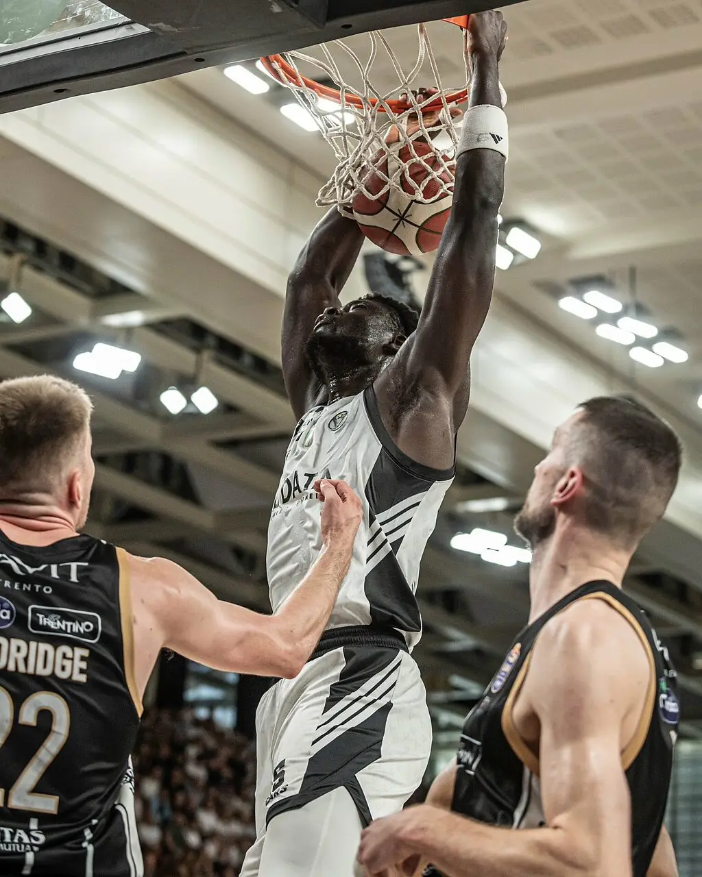 (foto Virtus Bologna)