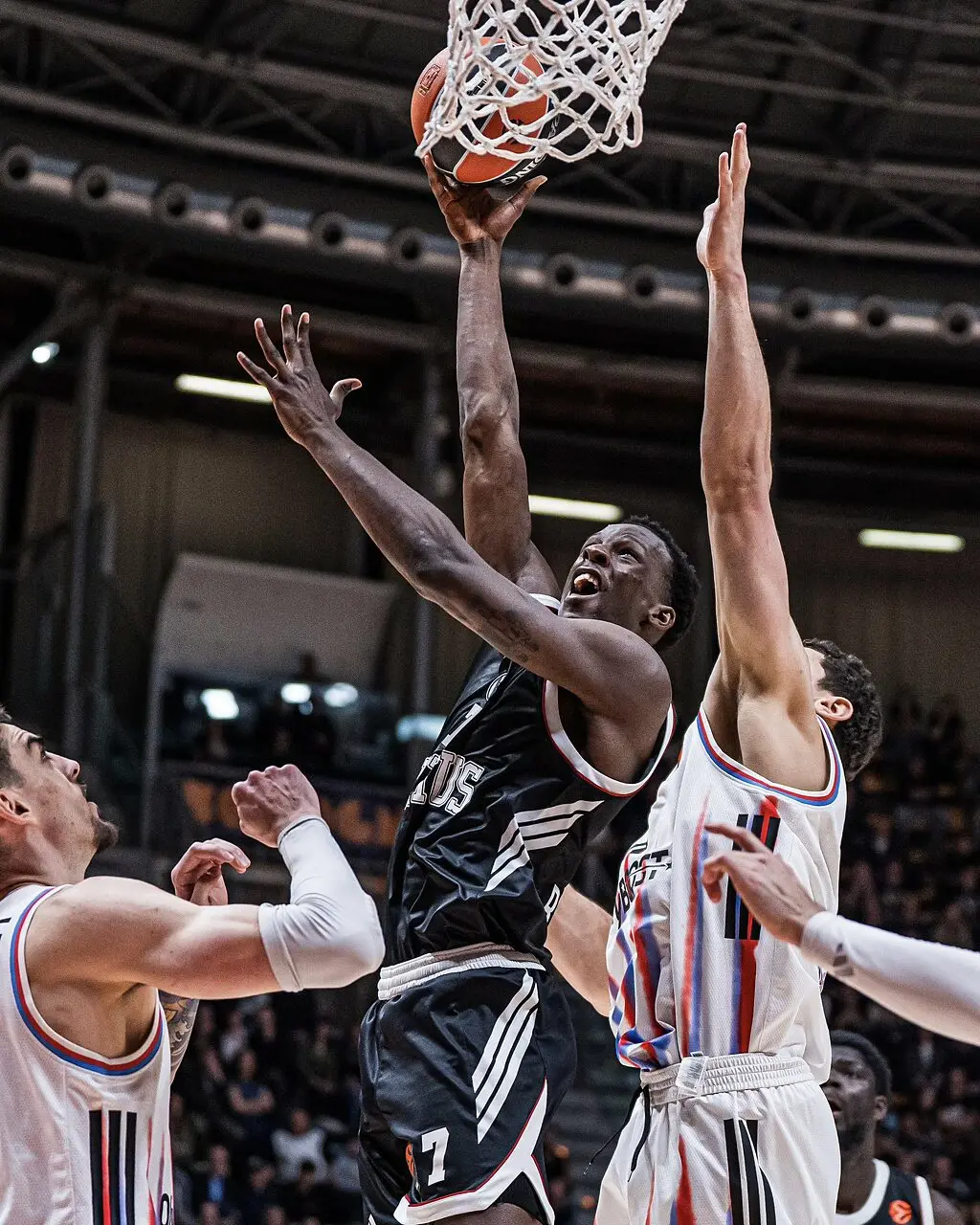 (foto Virtus Bologna)