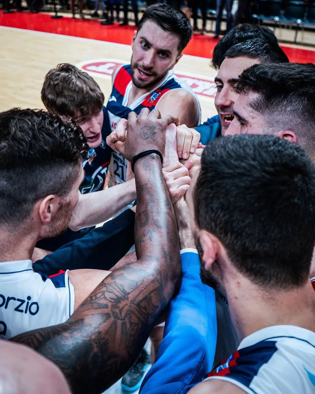 (Foto Fortitudo Pallacanestro 103)