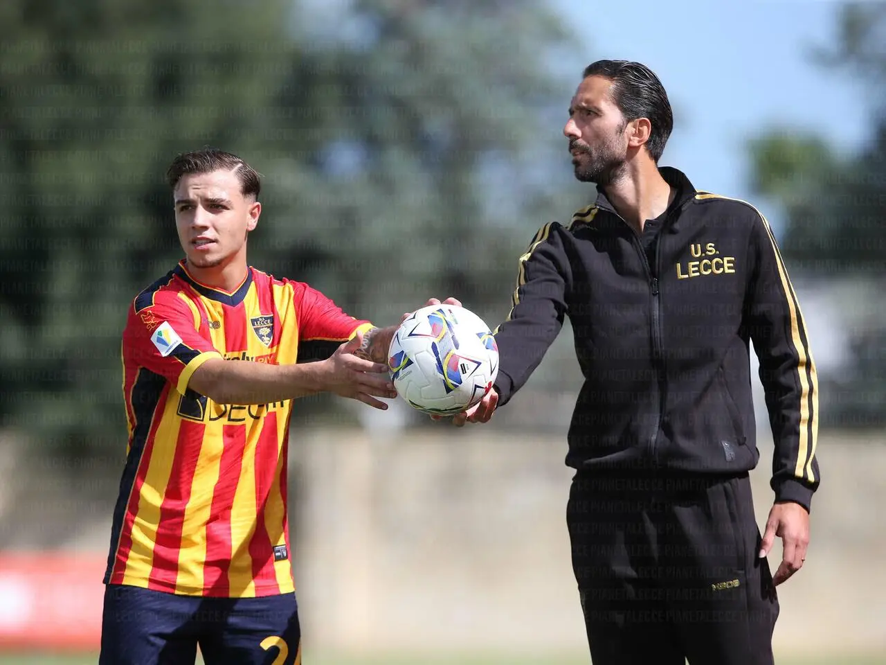 Primavera lecce scurto delle monache