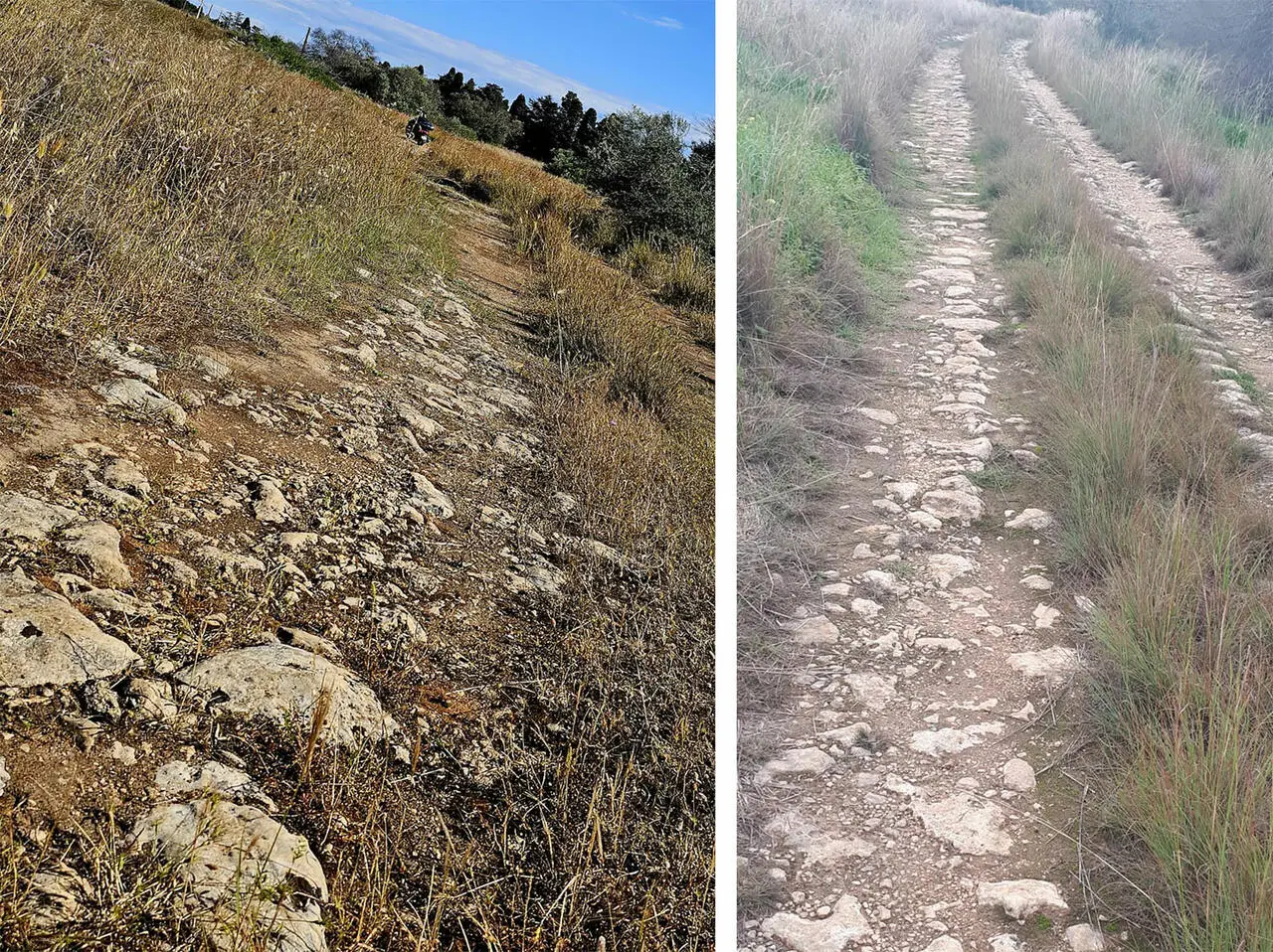 strada sallentina