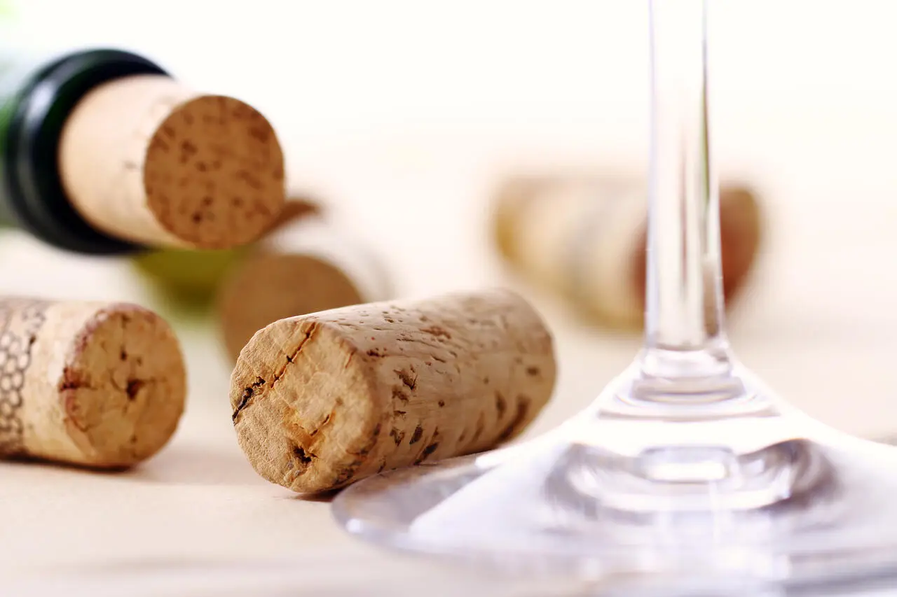 Vino novello