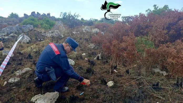 Carabinieri Forestali