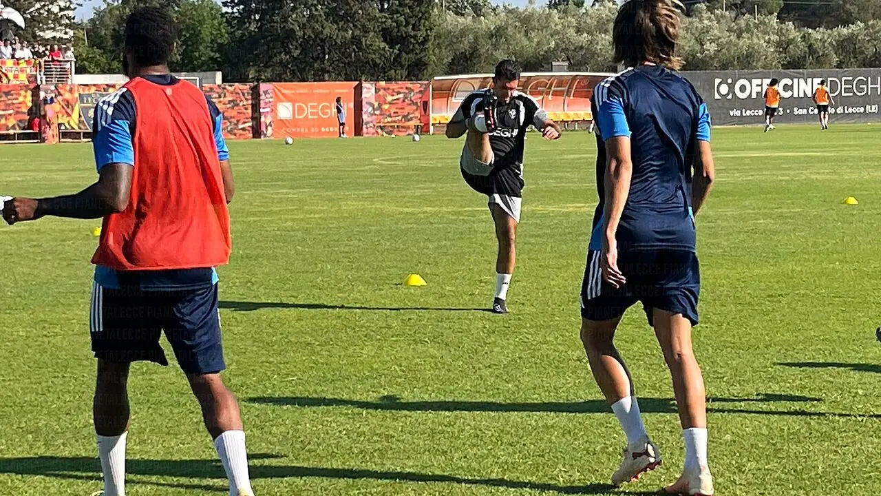 allenamento-gallo