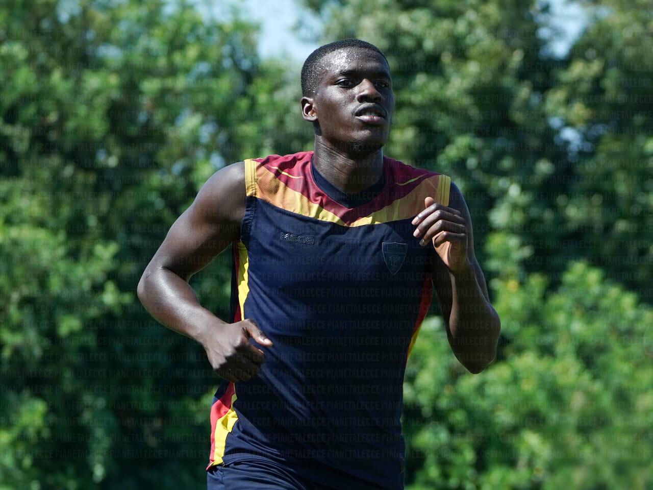 vernon addo