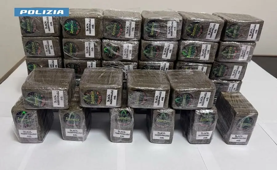 il carico di stupefacenti sequestrato