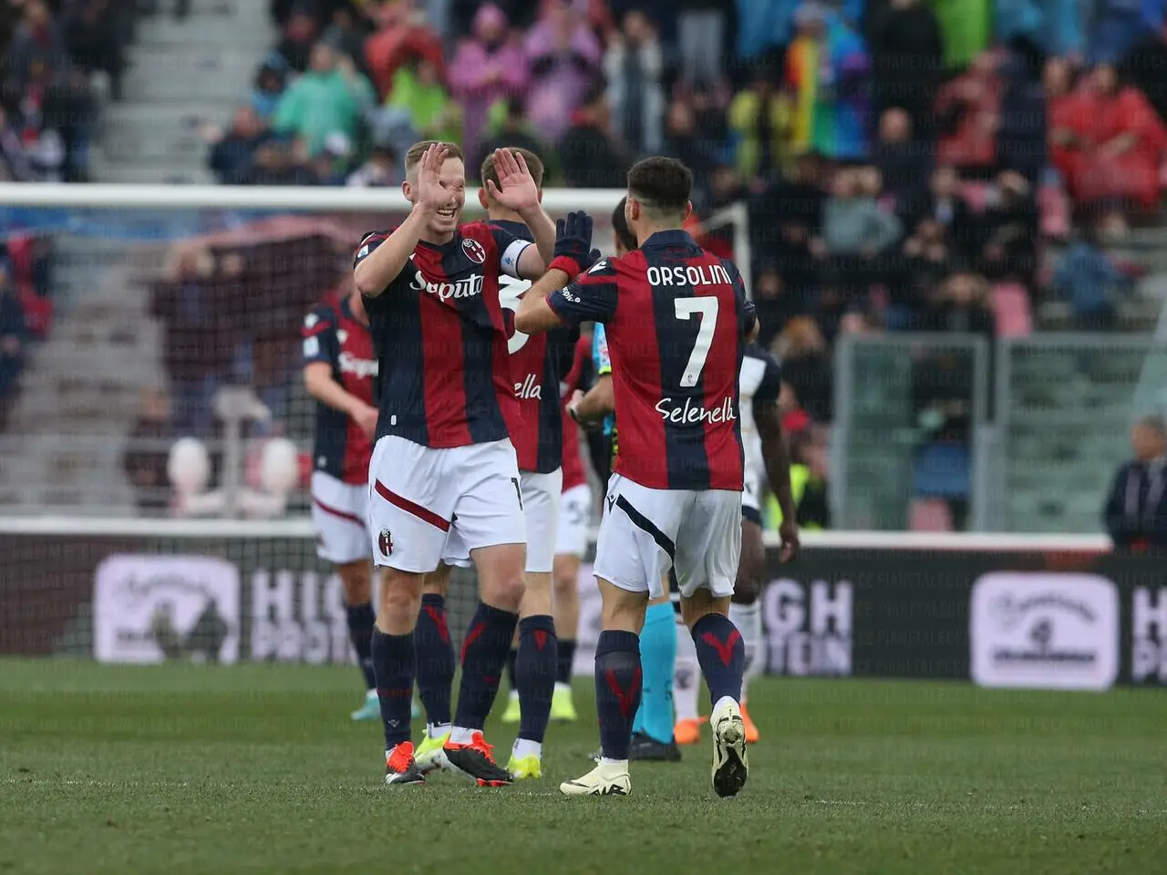 Bologna calcio