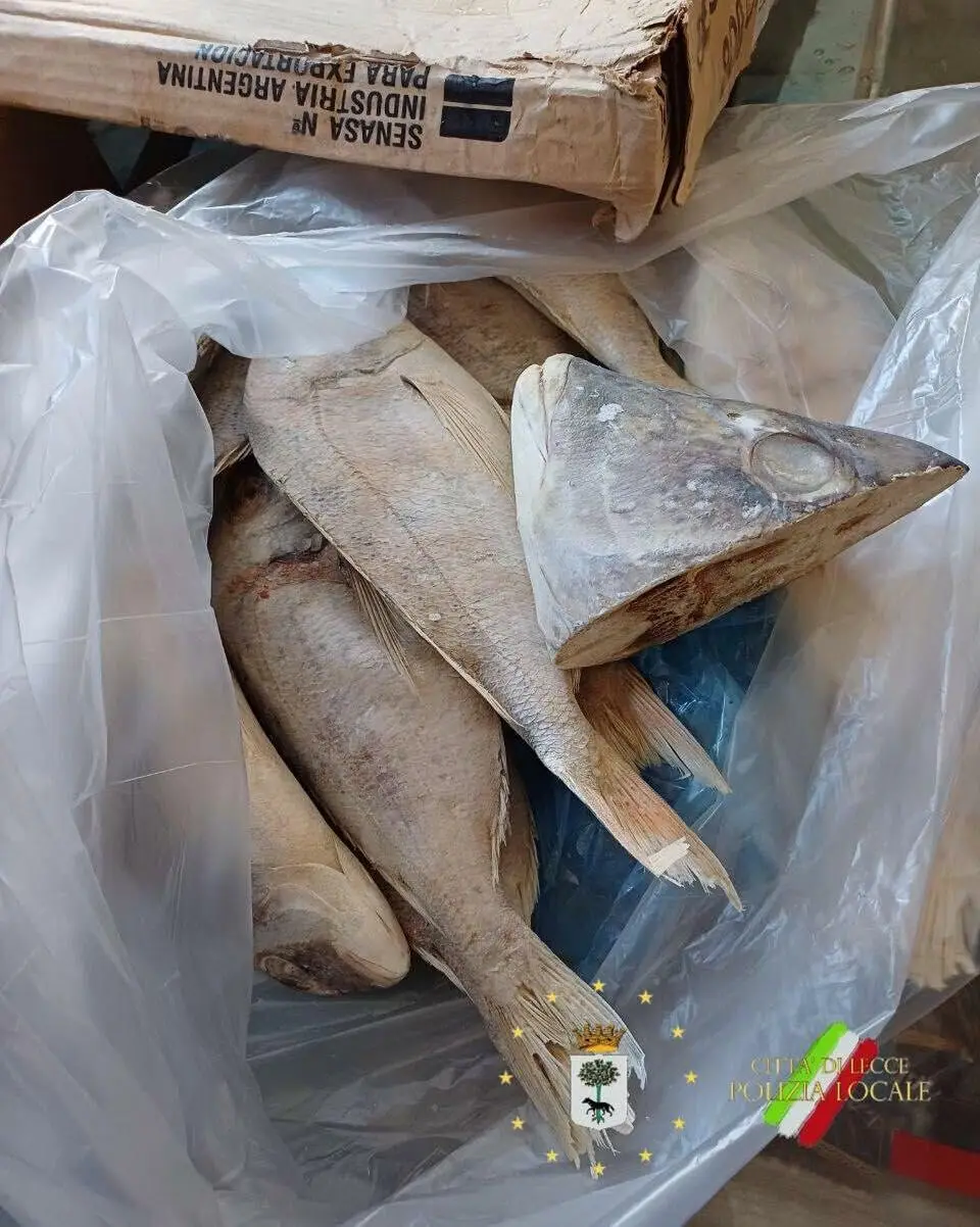 pesce sequestrato