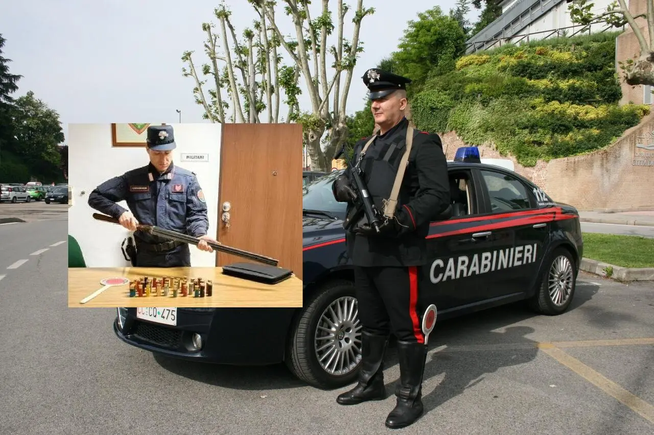 L'operazione dei carabinieri della Forestale