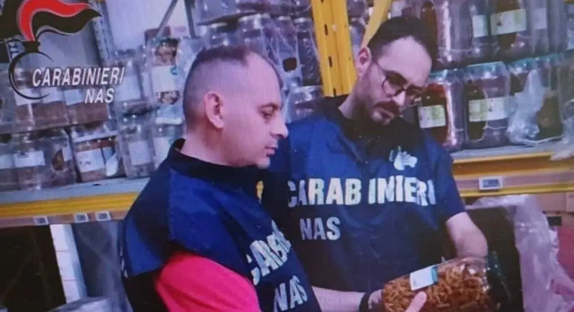 Il blitz dei carabinieri del Nas