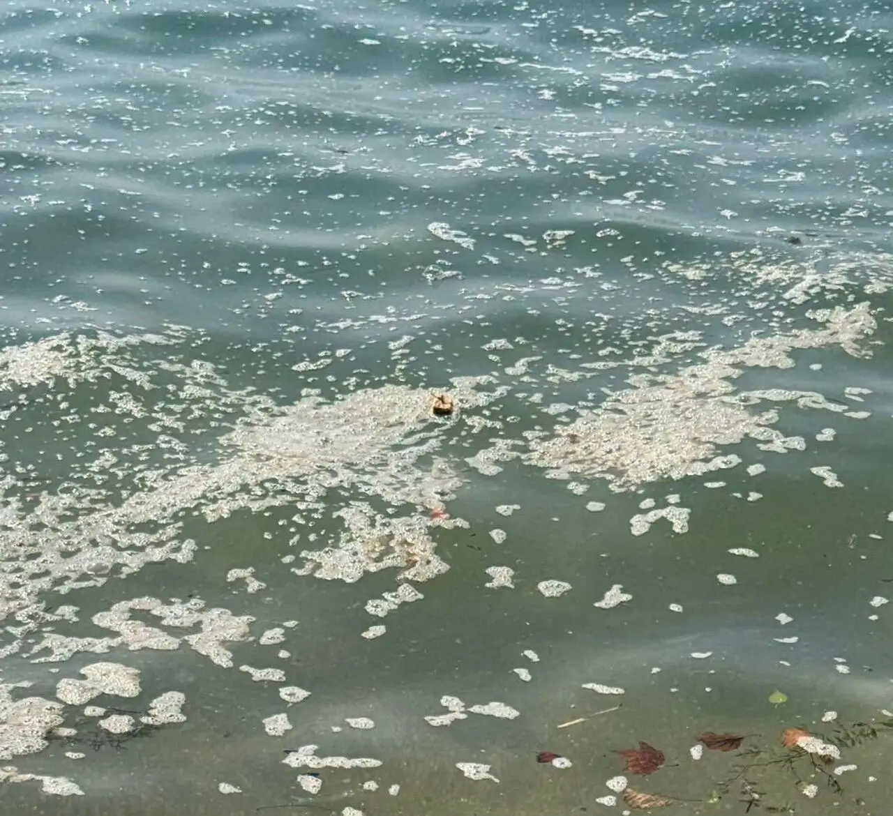 Inquinamento alla foce del Garigliano