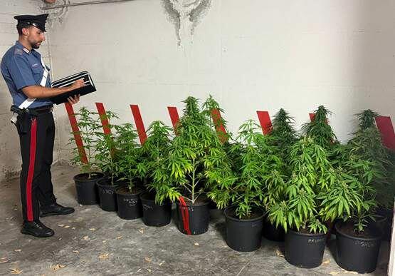 Blitz dei carabinieri nell'agro aversano