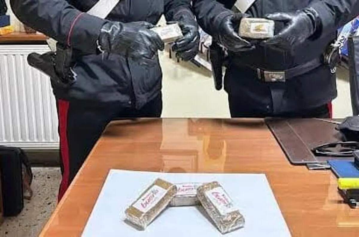 I panetti di hashish scoperti dai carabinieri