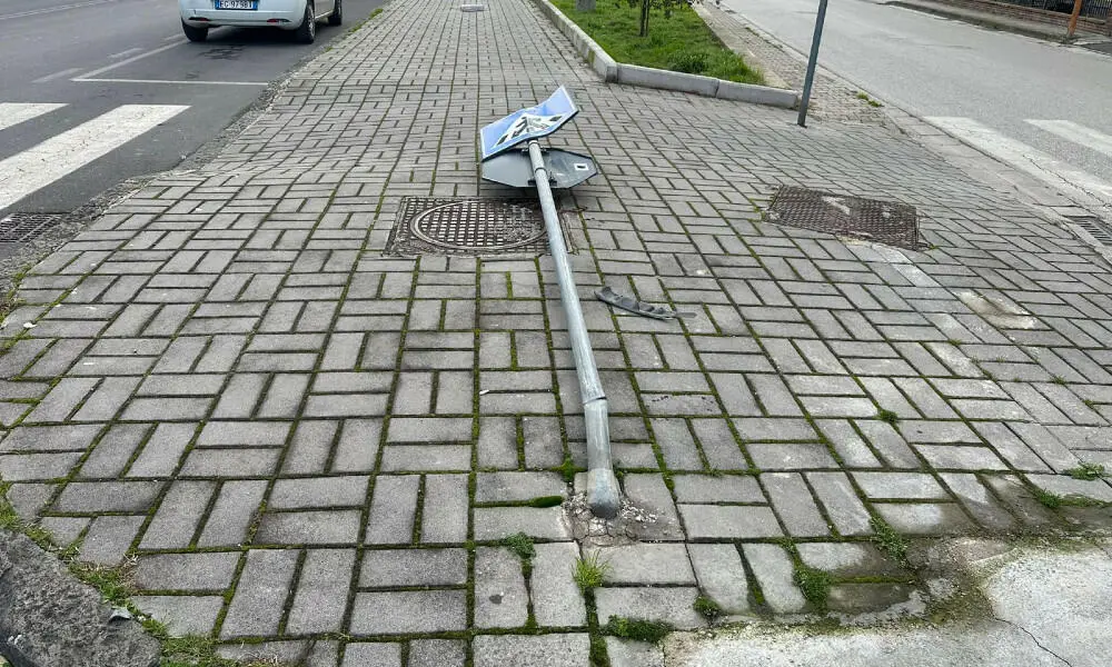 Il palo divelto