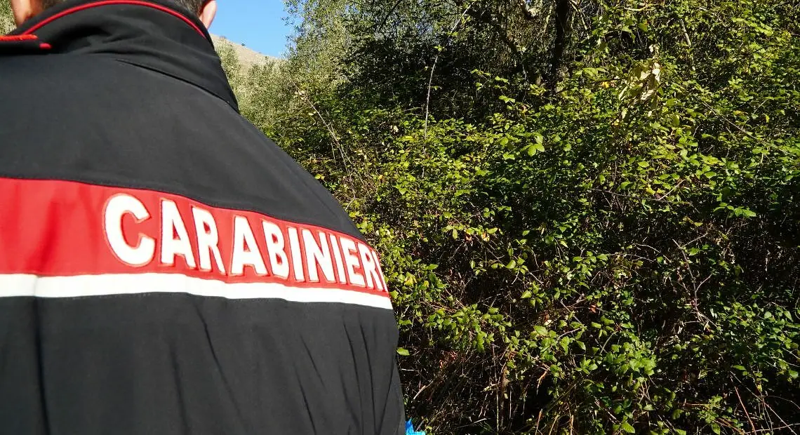 Il blitz dei carabinieri