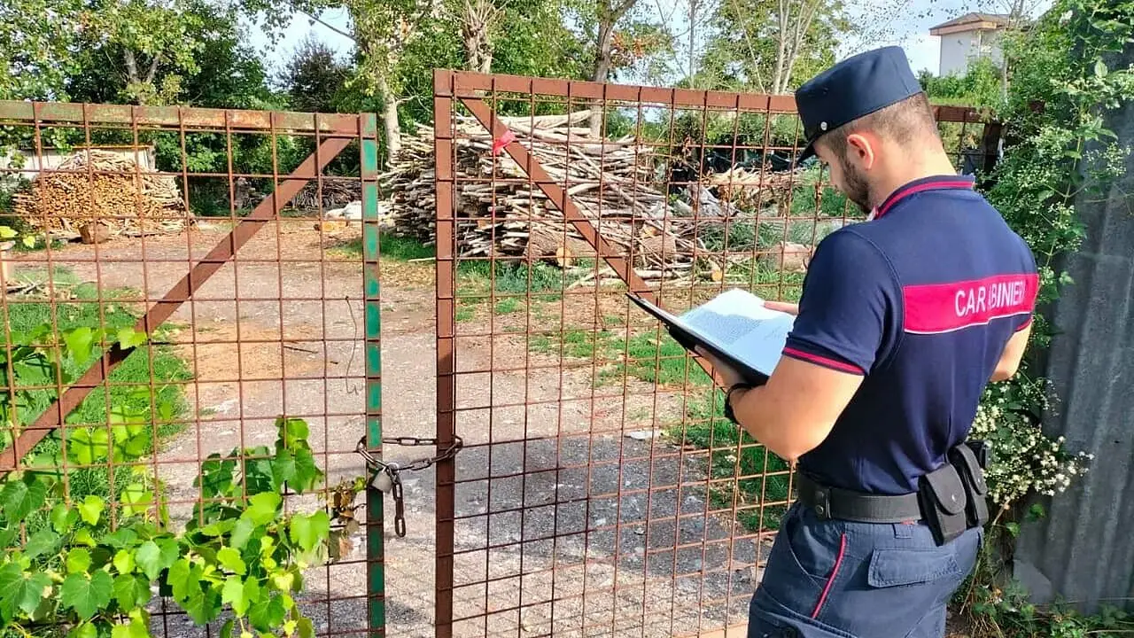 Il sequestro dei carabinieri forestali