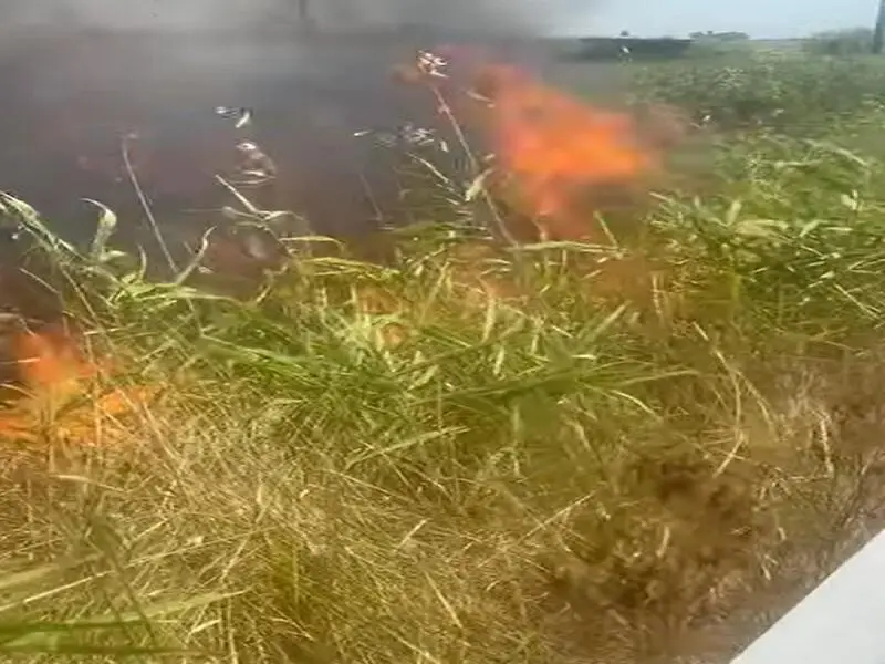 Immagine di repertorio