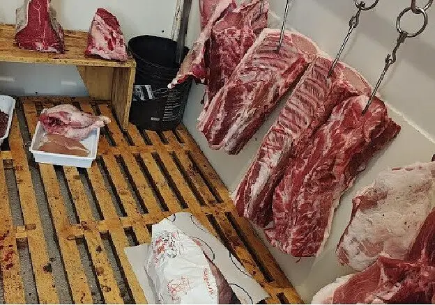 Ruggine e celle frigo malridotte