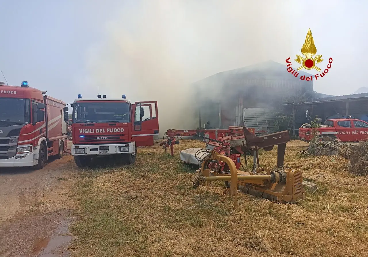 L'incendio nell'azienda bufalina