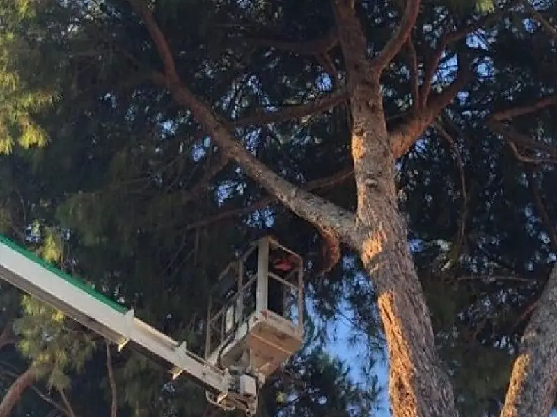 Immagine di repertorio