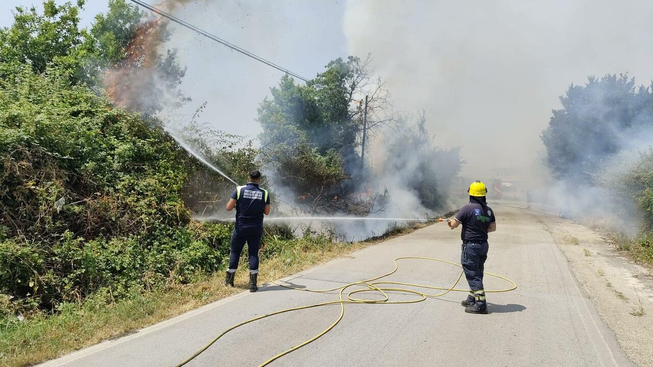 Immagine di repertorio