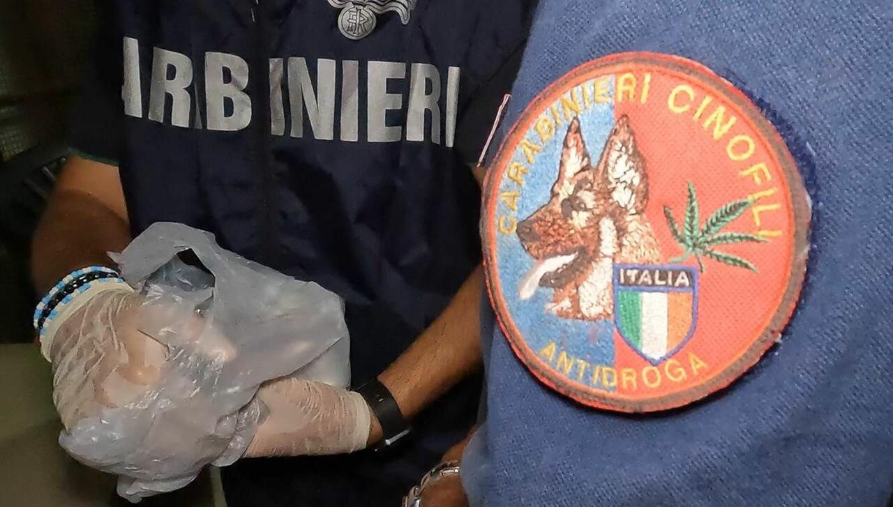 Beccato dal cane antidroga