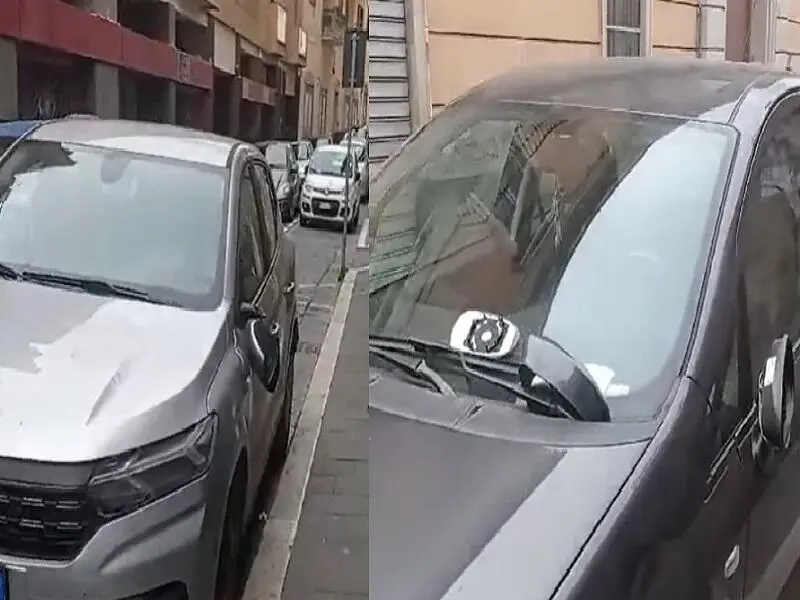 Le auto colpite