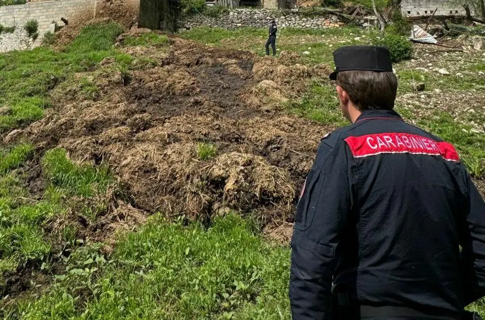 Il sequestro dei carabinieri Forestali
