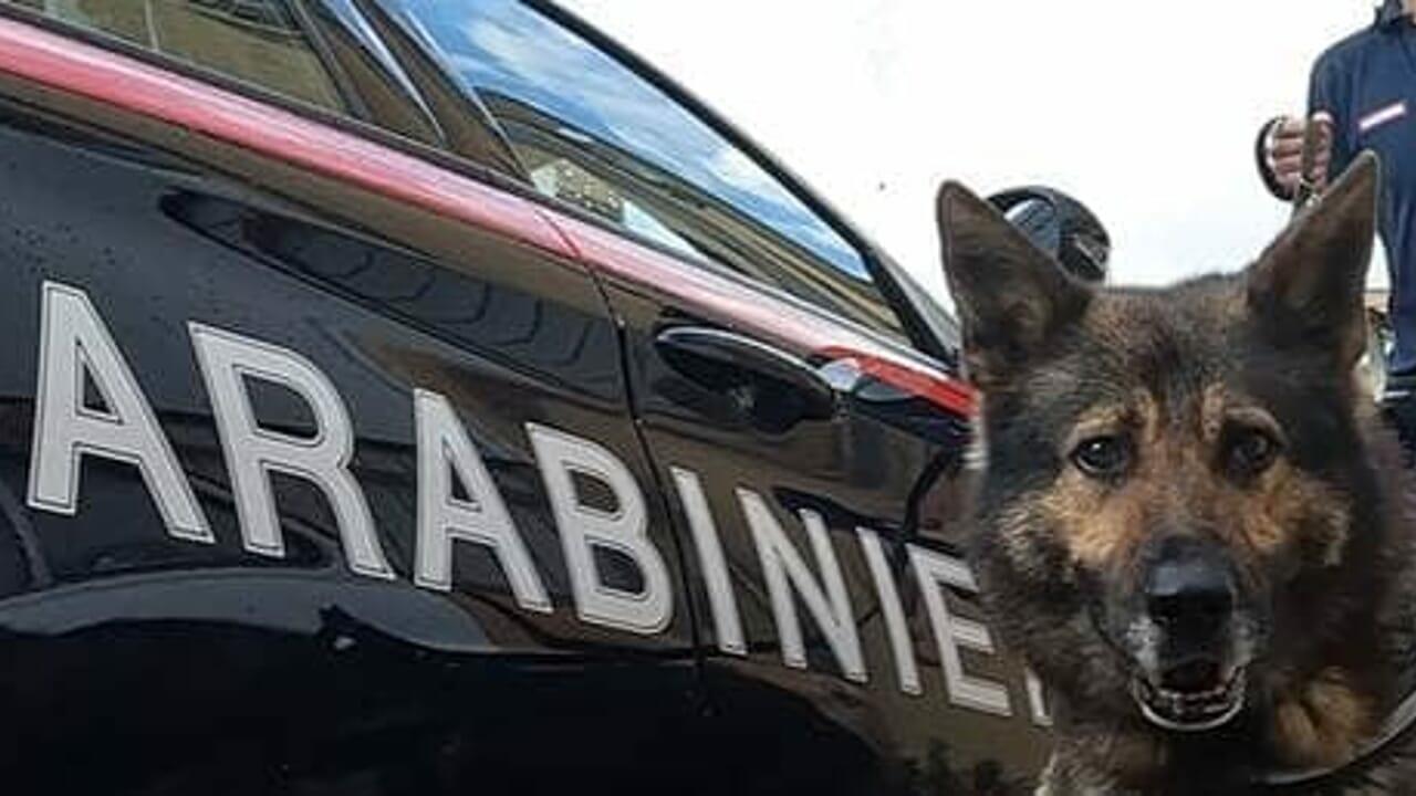 Blitz dei carabinieri a Mondragone