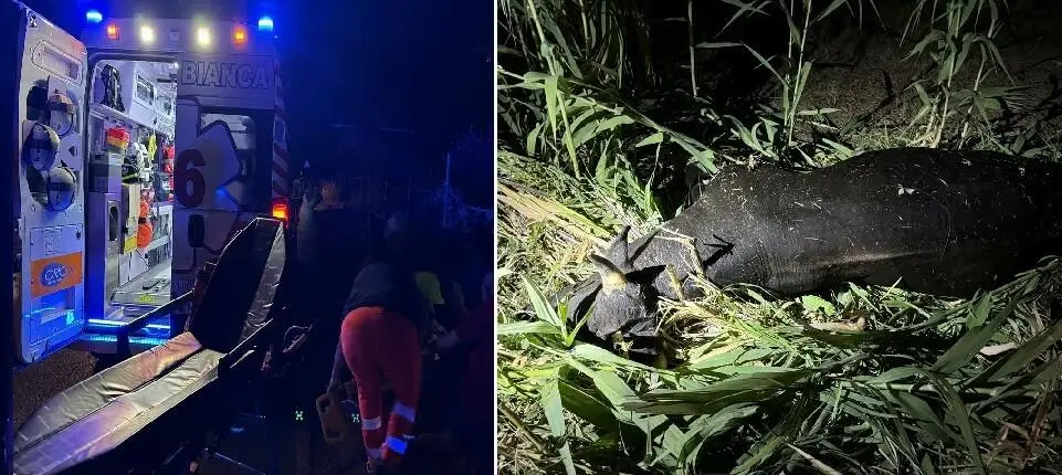 Due immagini dell'incidente sulla Provinciale
