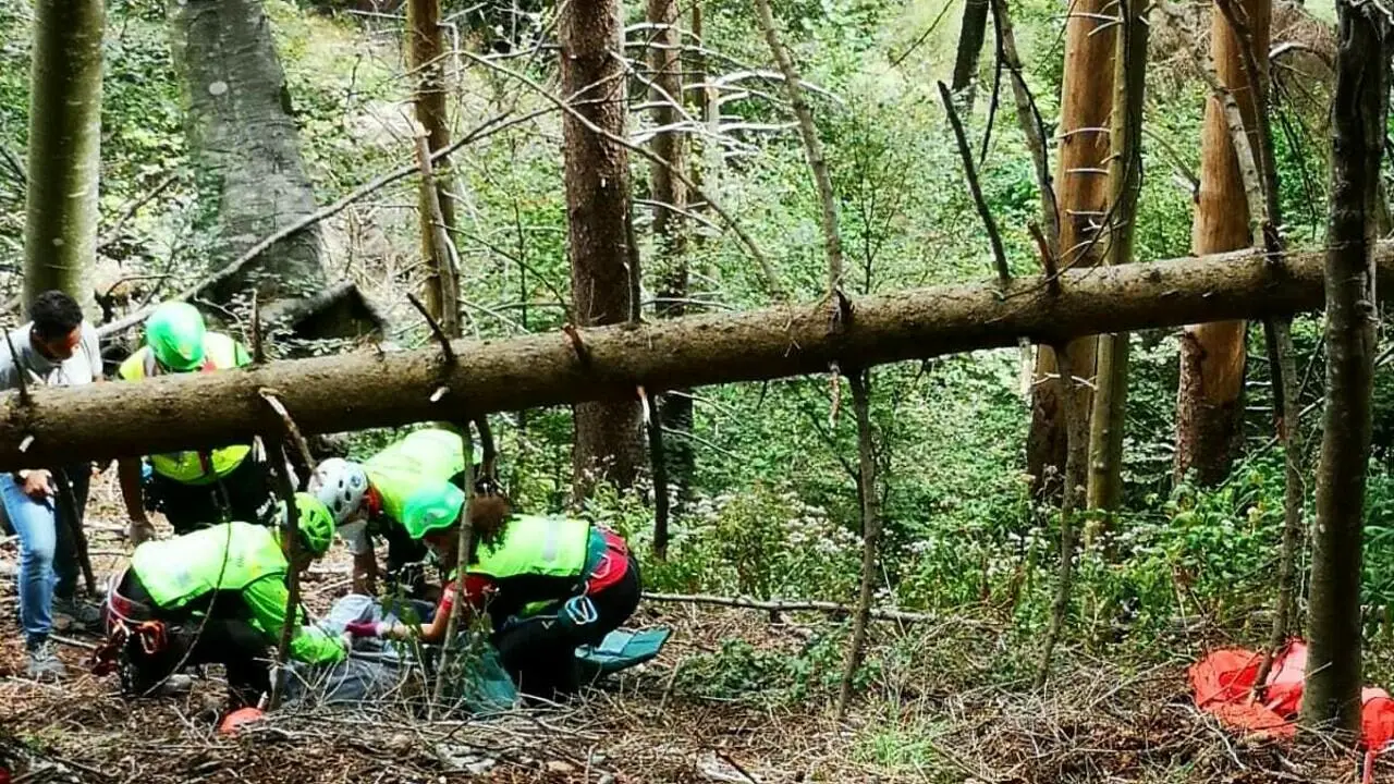 Uomo schiacciato dall'albero