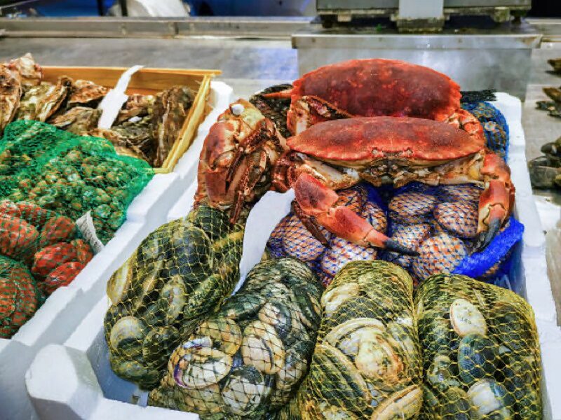 Immagine di repertorio