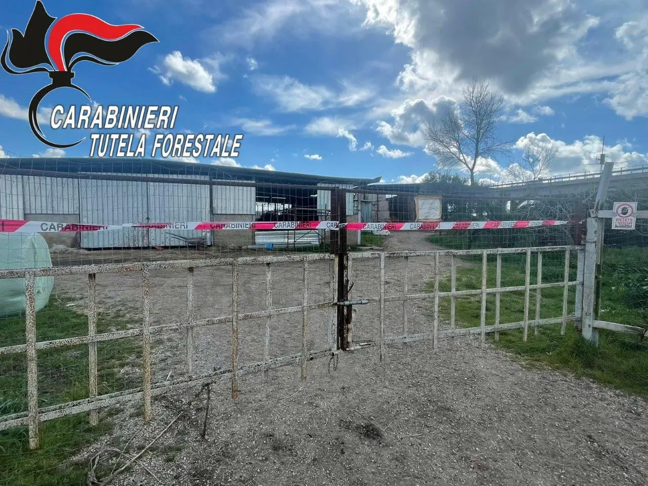 L'allevamento sequestrato