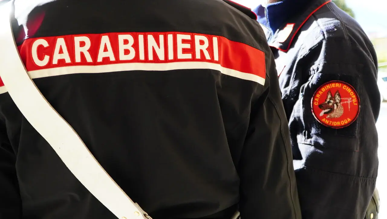 Carabinieri cinofili in azione