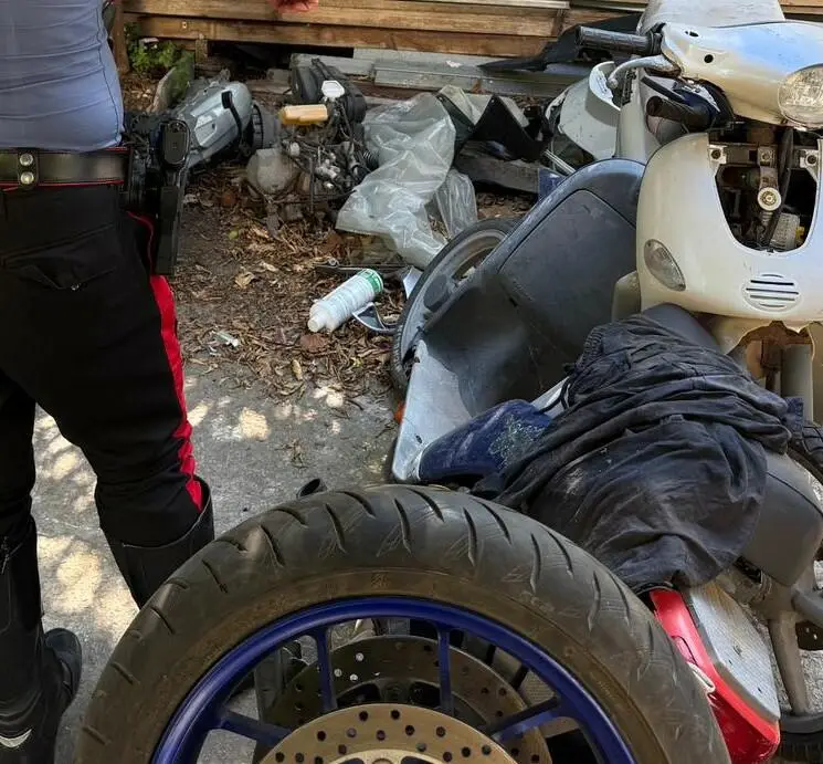 Blitz dei carabinieri a Mondragone