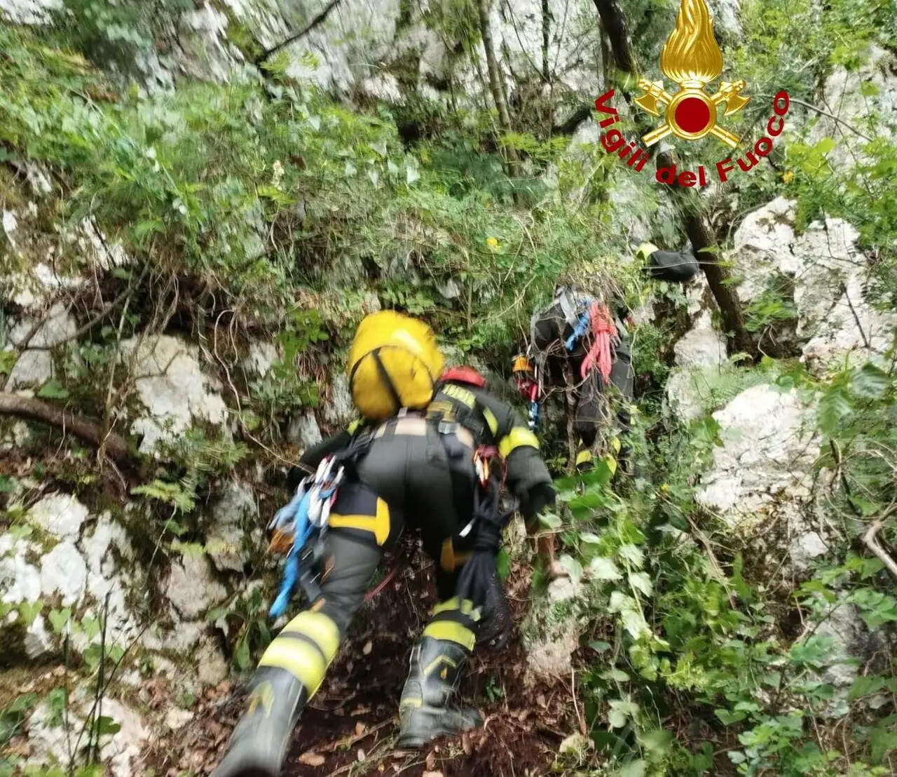 Sul posto i vigili del fuoco
