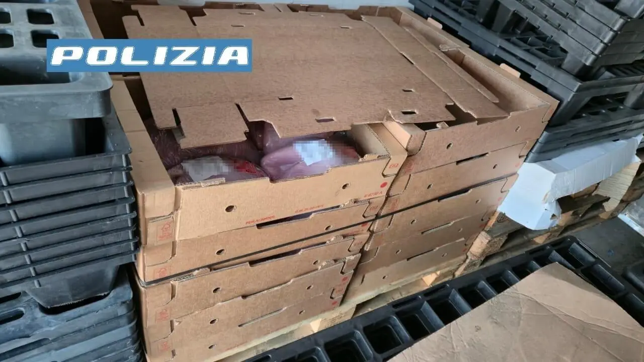 Il sequestro di polli