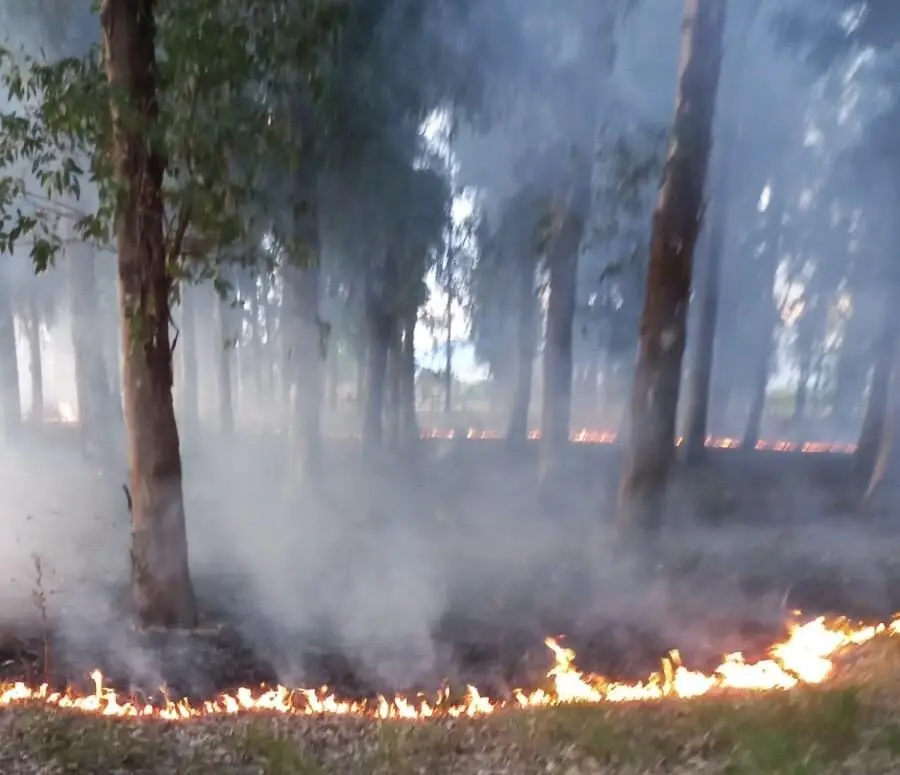 L'incendio alla Reggia di Carditello